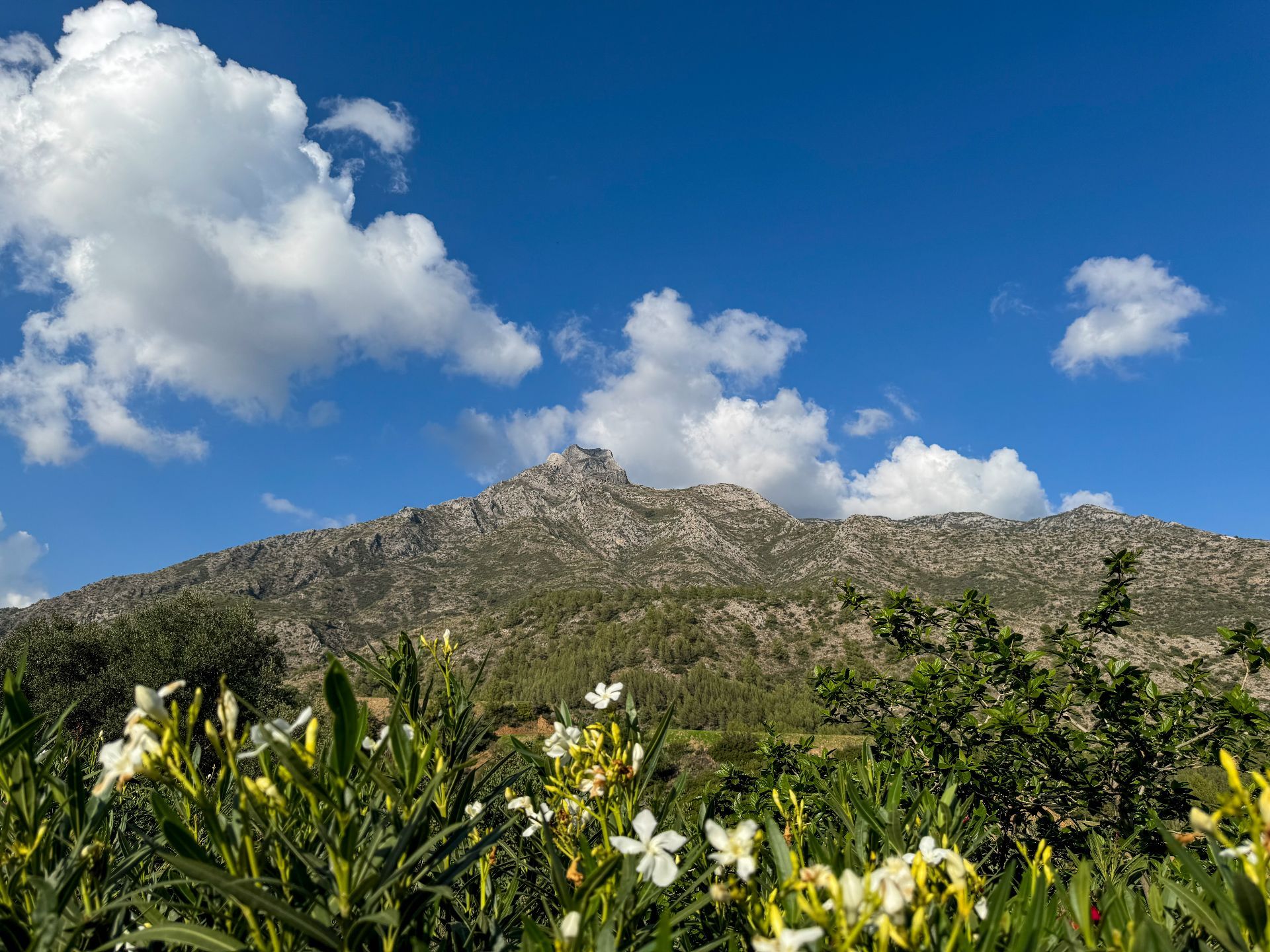 Milla de Oro, Marbella