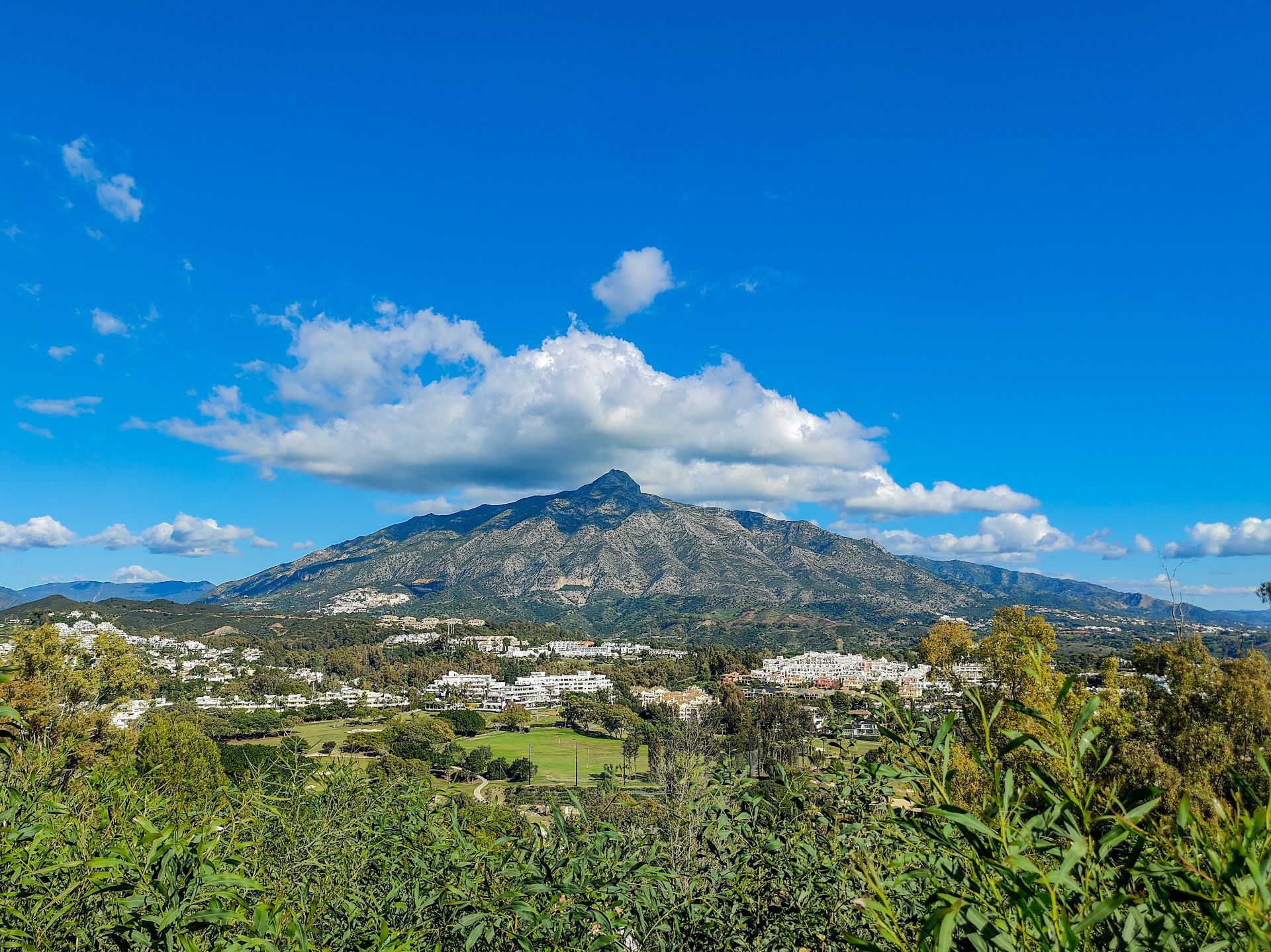 Nueva Andalucía, Marbella